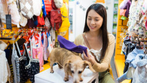 Banner-Dicas-expor-Pet-Shops